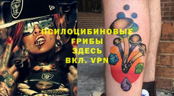 молекула духа Сясьстрой