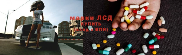 дмт Тавда