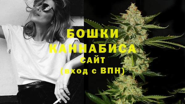 дмт Тавда
