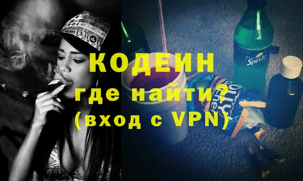 молекула духа Сясьстрой