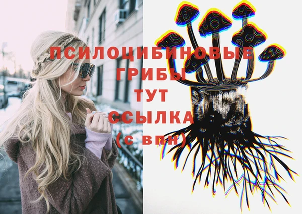 дмт Тавда