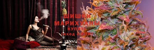 дмт Тавда