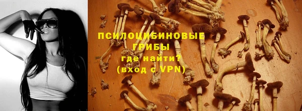 дмт Тавда