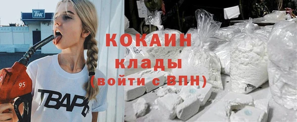ешки Тайга